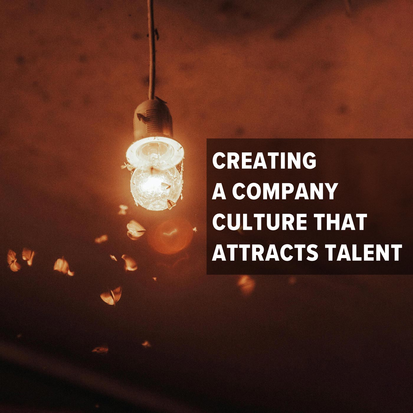 NBM-SmallBizPodcast-Blog-06252024